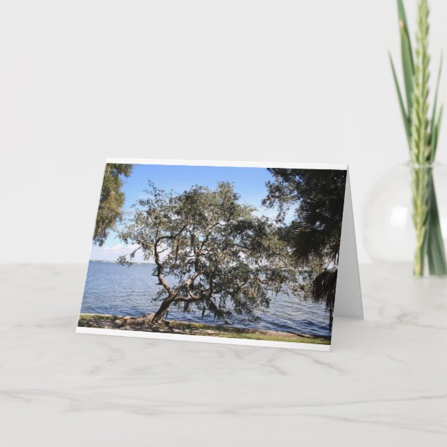 Cartão "Leaning live oak" note cards (Frente)
