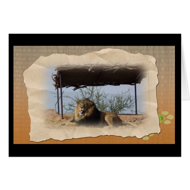 Cartão Leão bobo (Frente Horizontal)