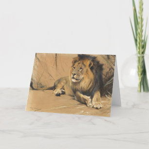 Cartão Leão de aninhamento   Wilhelm Kuhnert