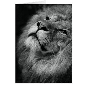 Cartão Leão maravilhoso