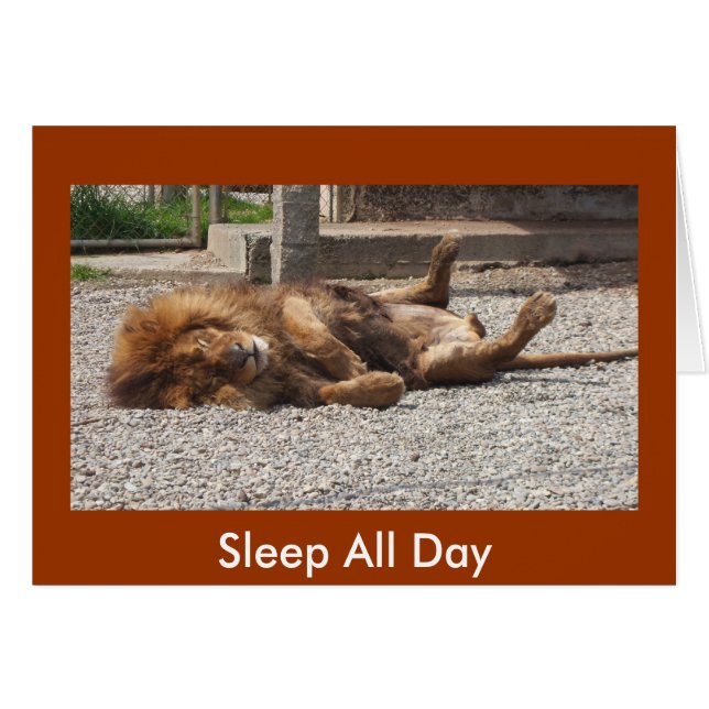 Cartão Leão preguiçoso (Frente Horizontal)