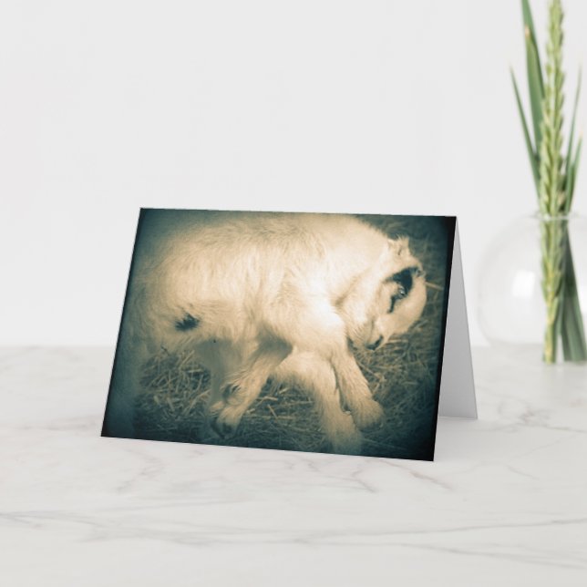 Cartão Leap For Joy (Frente)