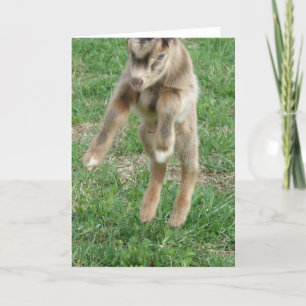 Cartão Leap For Joy