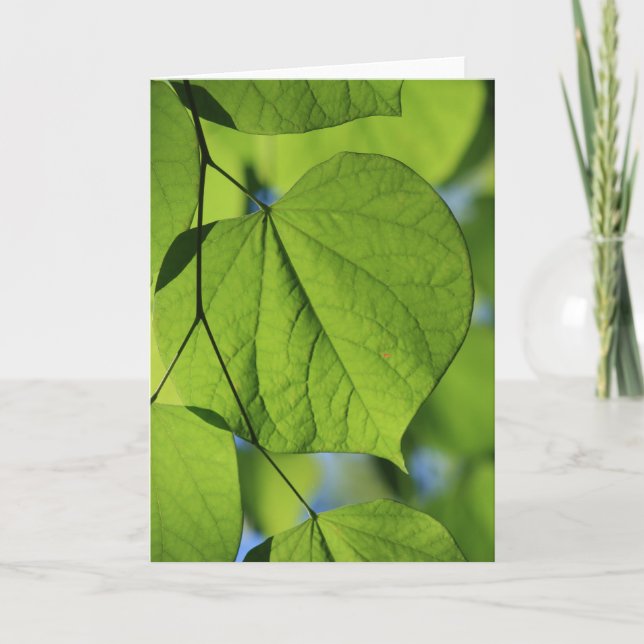 Cartão Leaves (Frente)