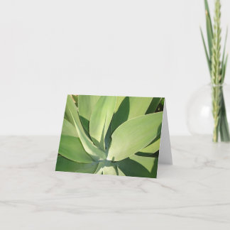 Cartão Leaves & Shadows v2