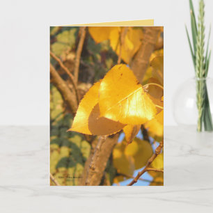 Cartão Leaves That Talk