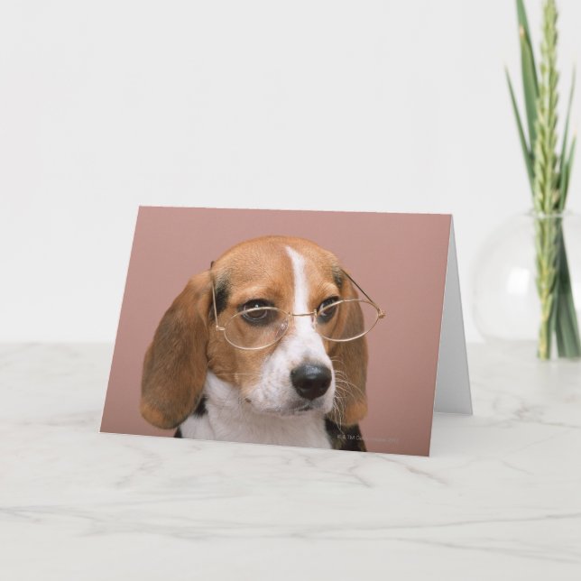 Cartão Lebreiro (Frente)