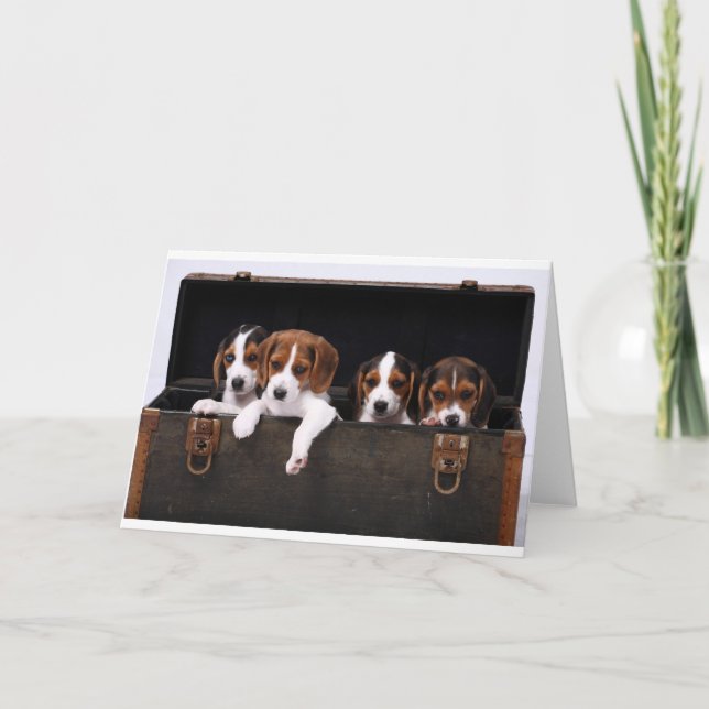 Cartão Lebreiros (Frente)