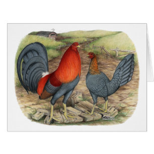 Cartão Leds Azuis do Jogo Americano