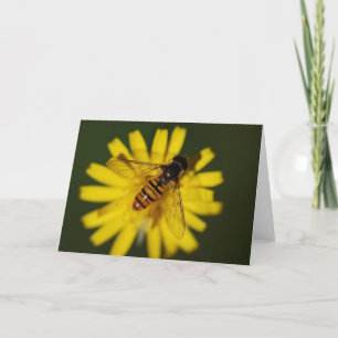 Cartão Legal Abelha de Mel na Flor na Natureza Fotografia
