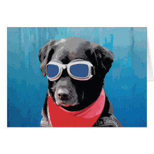 Cartão Legal Cão Preto Lab Vermelho Bandana Óculos Azuis