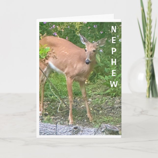 CARTÃO **LEGAL QUERIDO** DIZ FELIZ ANIVERSÁRIO NEPHEW (Frente)