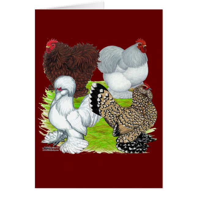 Cartão Legenda de Bantams Feather (Frente)