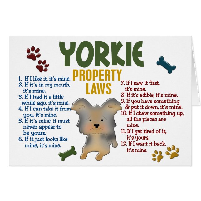 Cartão Leis 4 da propriedade de Yorkie (Frente Horizontal)