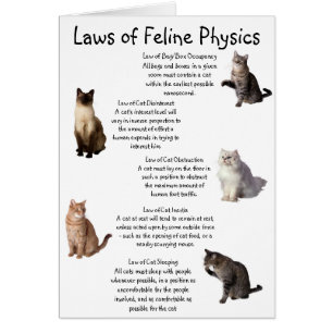 Cartão Leis da Física Felina