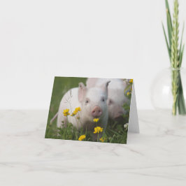 Cartão Leitão-Bebê no Campo das Flores Amarelas