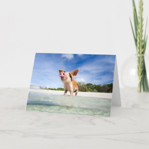 Cartão Leitão pequeno