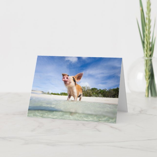 Cartão Leitão pequeno (Frente)