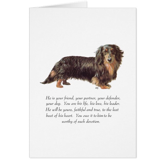 Cartão Lembrança de Dachshund - Macho (Frente)