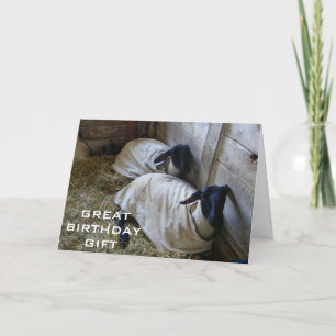 CARTÃO LEMBRANDO QUE VOCÊ ESTÁ UM ANO MAIS VELHO