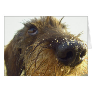 Cartão Lemme pensa sobre aquele .....