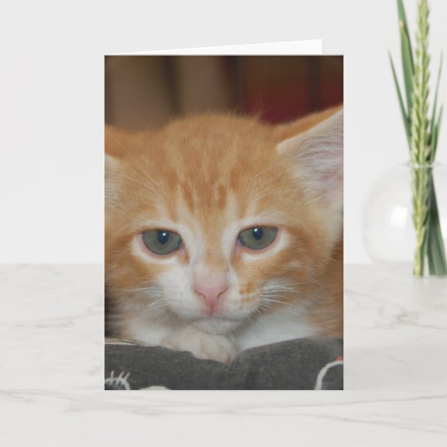 Cartão Lemon Drop Notecard (Frente)