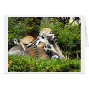 Cartão Lêmures com lêmures