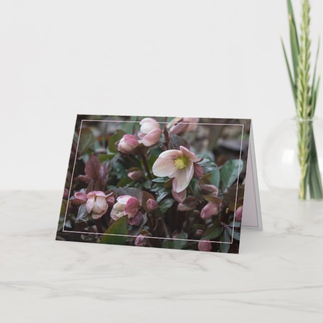 Cartão Lenten Rosa Para Mãe (Frente)