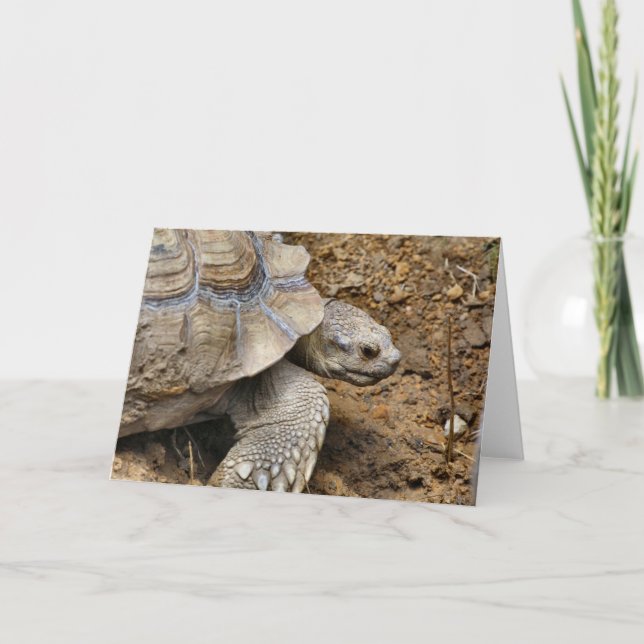 Cartão Lento (Frente)