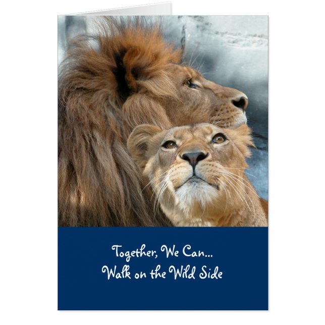 Cartão Leões (Frente)