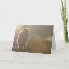 Cartão Leonberger Symapthy card