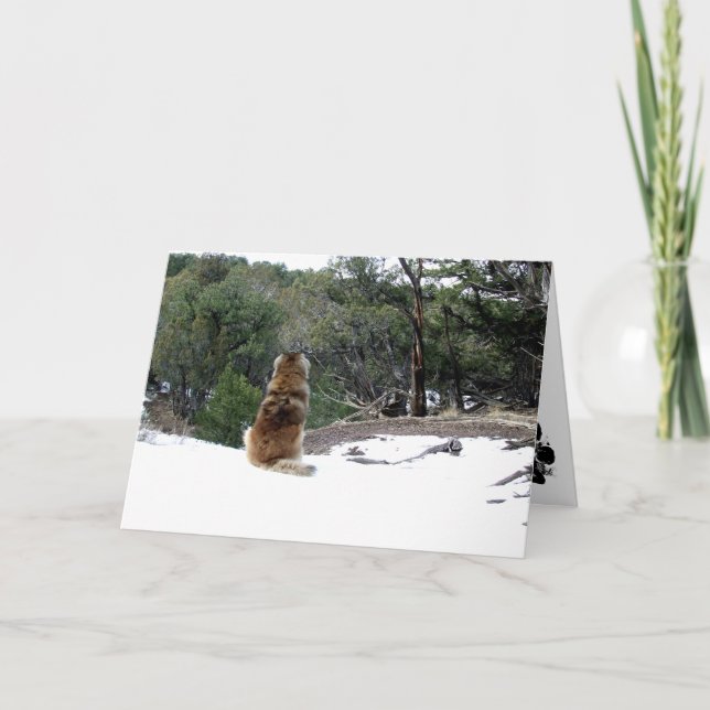 Cartão Leonberger Sympathy card (Frente)