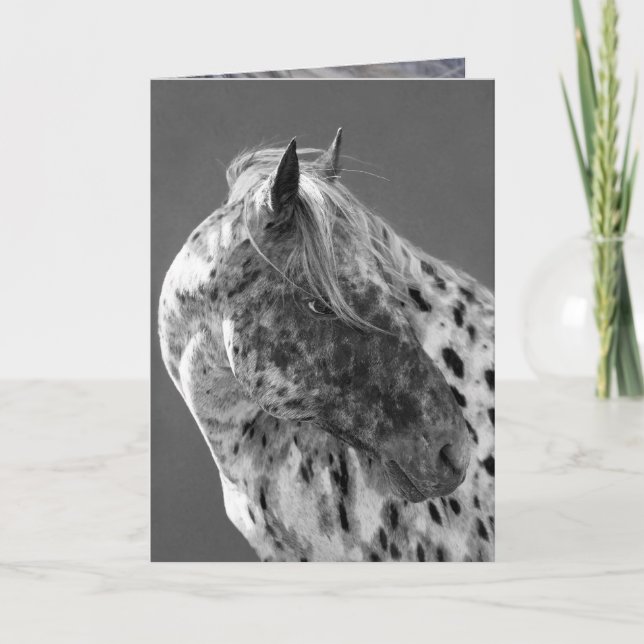 Cartão Leopard Appaloosa Horse Greeting Card (Frente)