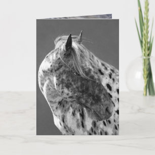 Cartão Leopard Appaloosa Horse Greeting Card