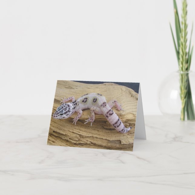 Cartão Leopard Gecko Note Card (Frente)