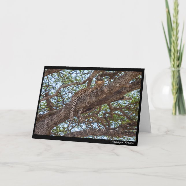 Cartão Leopard Hangout (Frente)