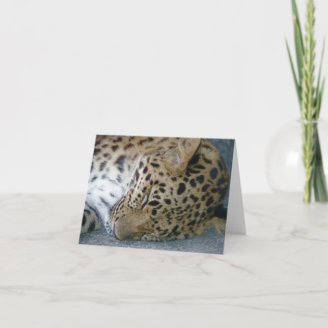 Cartão Leopard Note Card (Frente)