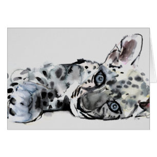 Cartão Leopardo árabe Cub 2008