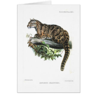 Cartão Leopardo nublado