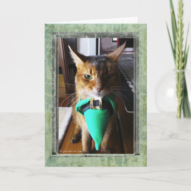 Cartão Leprechaun Cat St. Patrick's Day Greeting Card (Frente)