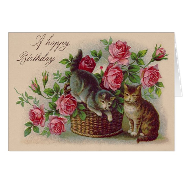 Cartão Letra da placa Rosa do cesto de gato (Frente Horizontal)