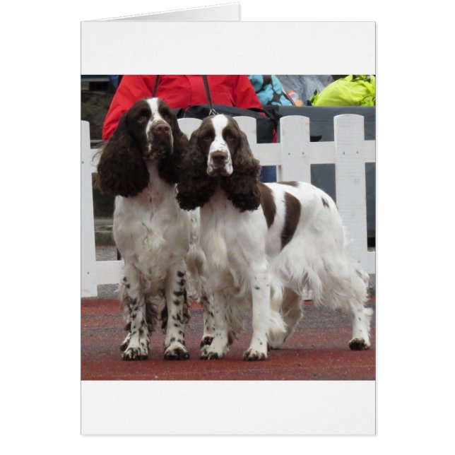 Cartão Letra Springer_Pair (Frente)