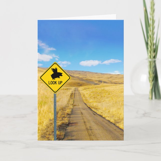 Cartão Levante Os Olhos Para Os Suínos. (Frente)