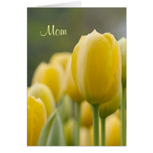 Cartão Levante-se a tulipa