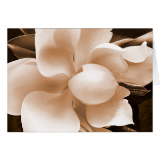 Cartão Leve branca Magnolia Sépia Flores Fundo Preto