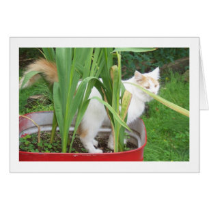 CARTÃO LEVE TEMPO PARA JOGAR É "SEU ANIVERSÁRIO"