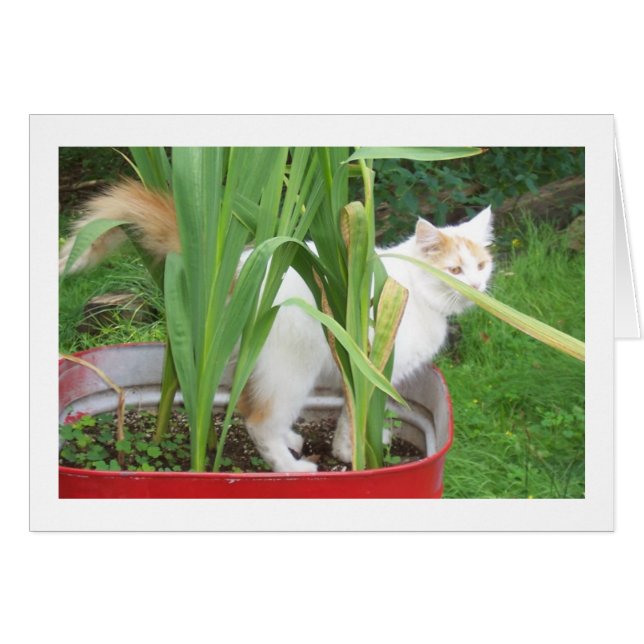 CARTÃO LEVE TEMPO PARA JOGAR É "SEU ANIVERSÁRIO" (Frente Horizontal)