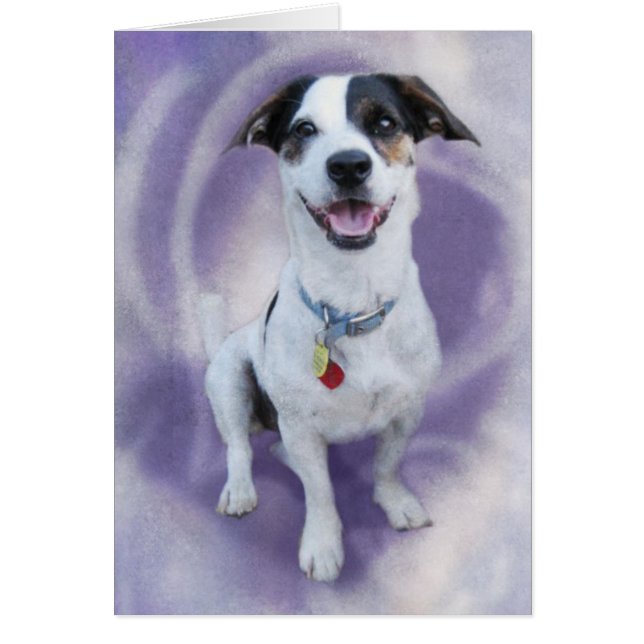 Cartão Lexi (Frente)