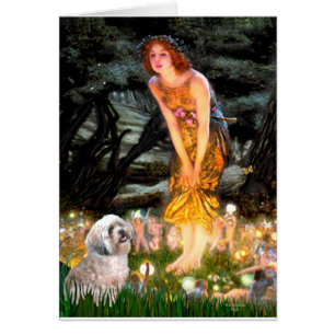 Cartão Lhasa Apso 10 - MeidEve