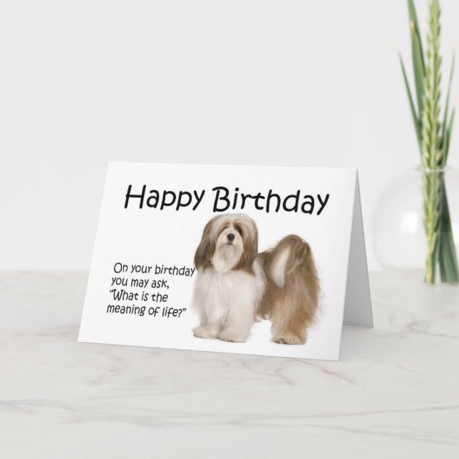 Cartão Lhasa Apso Birthday Card (Frente)